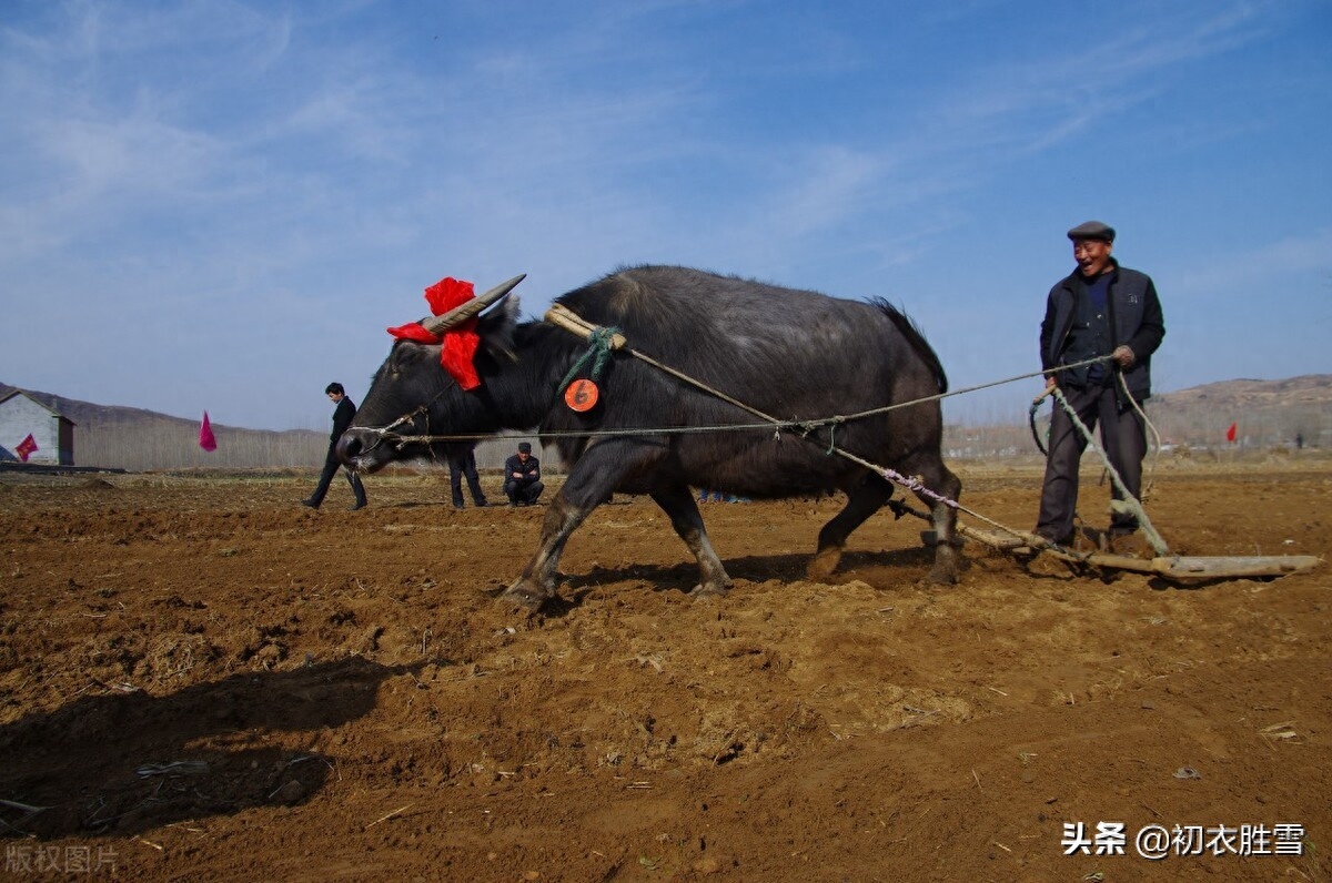 关于农耕的古诗赏析（平郊极目冬耕遍，尽道冬晴好趁耕）