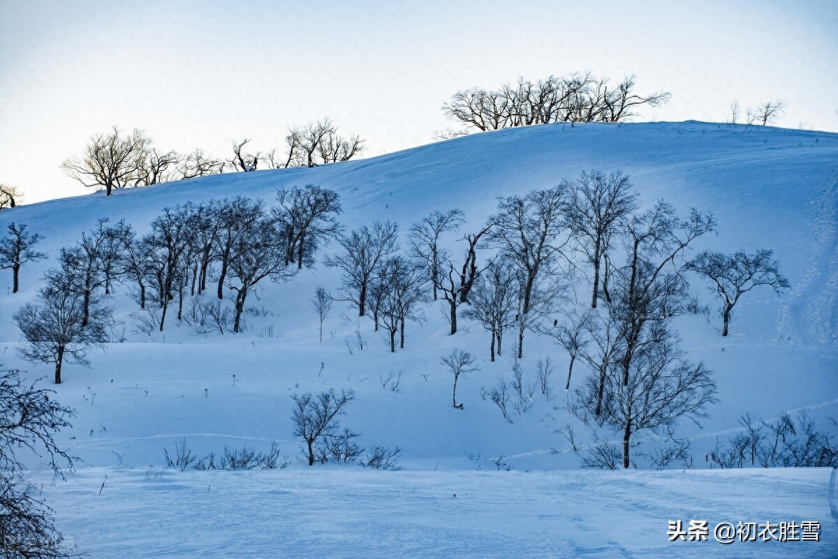 大雪节气瑞雪诗六首（飞雪正应大雪节，腊前三白遍民田）