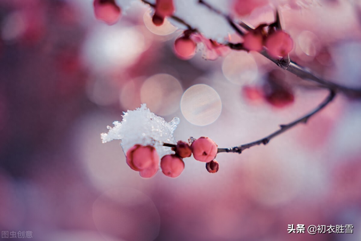 大雪节气瑞雪诗六首（飞雪正应大雪节，腊前三白遍民田）