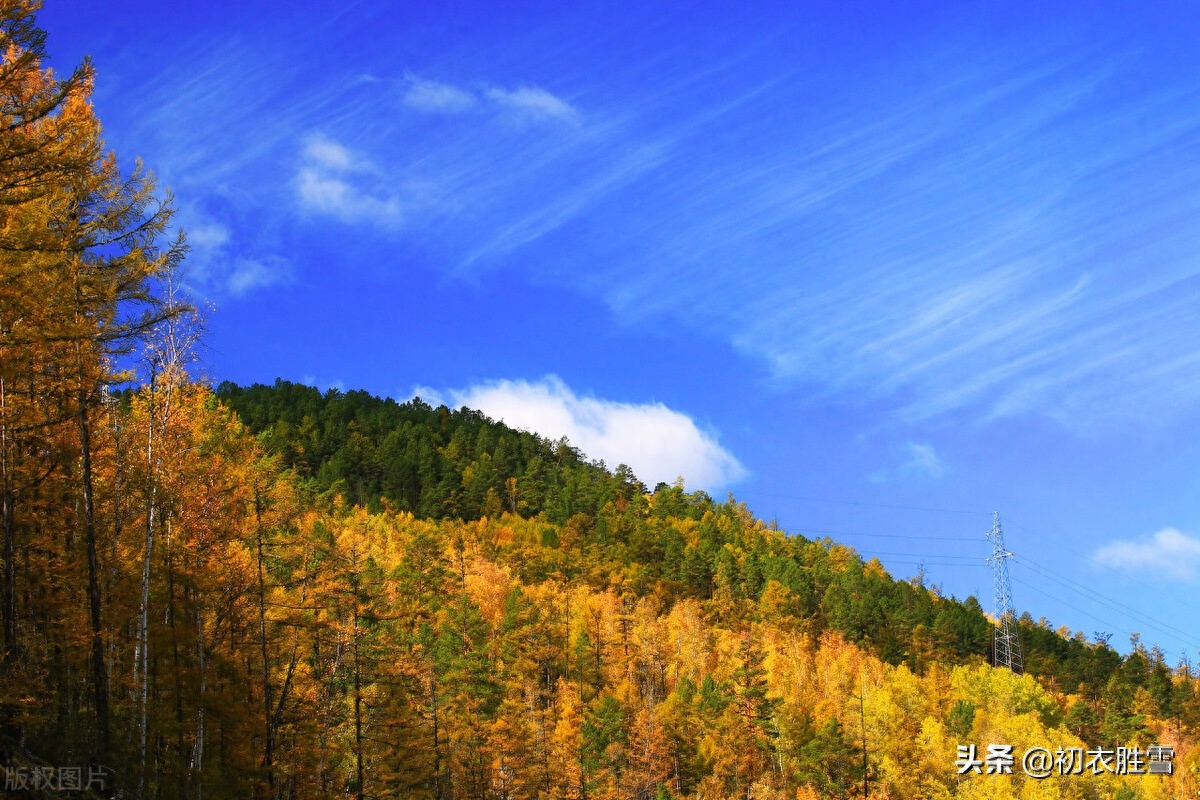 晚秋明丽秋山七首古诗词（谁道秋山不宜客，柿叶枫林别样春）