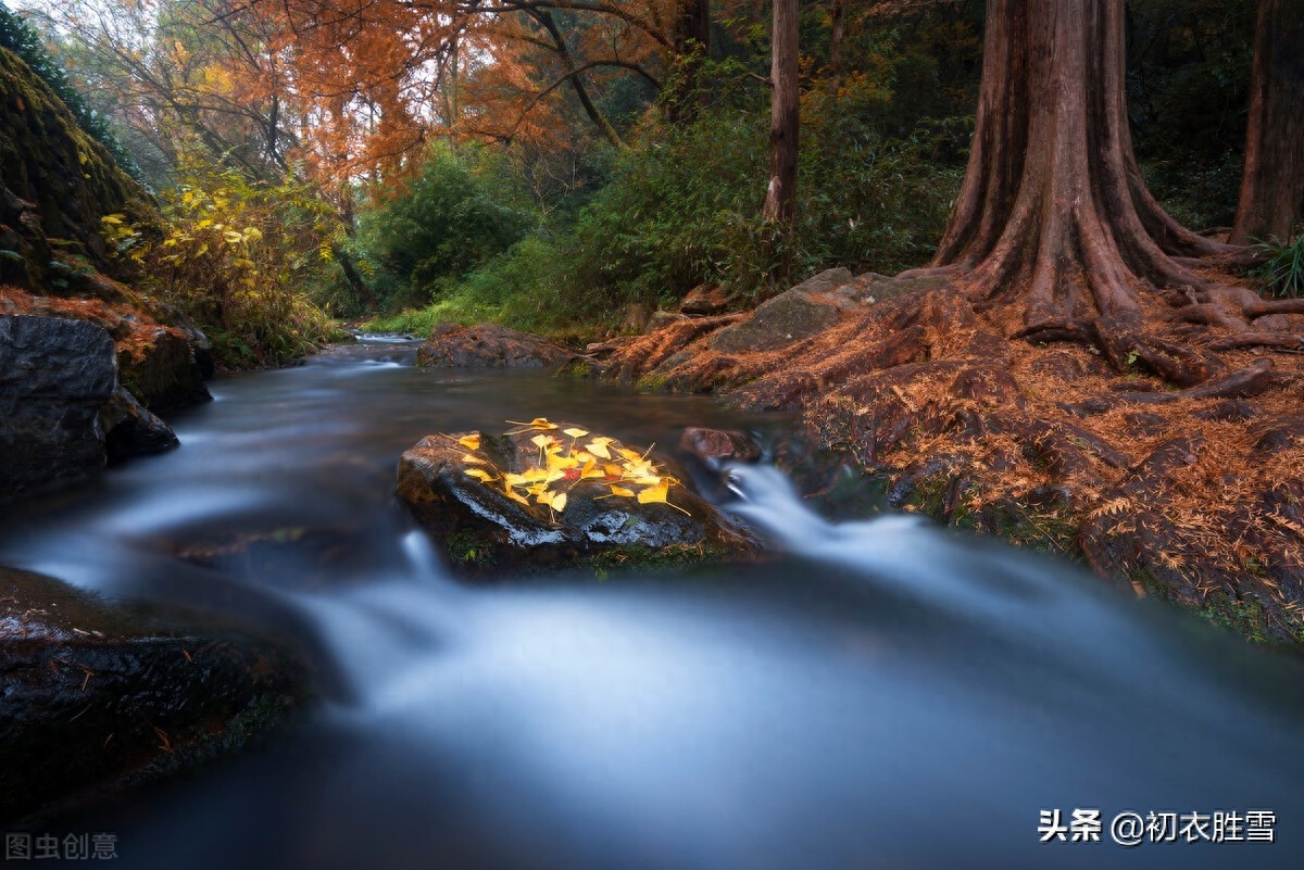 晚秋秋水诗词五首（秋水才深四五尺，野航恰受两三人）