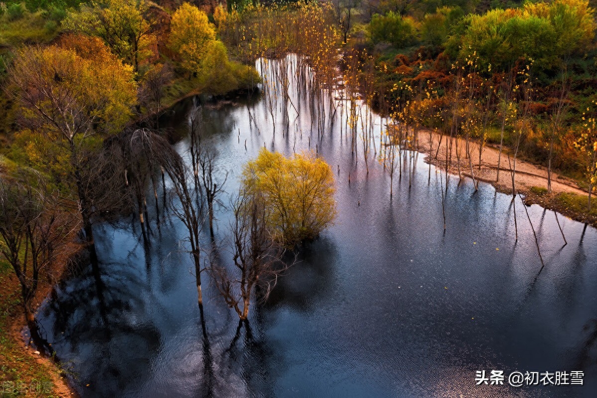 霜降节气诗词四首赏析（霜降水痕收，浅碧鳞鳞露远洲）