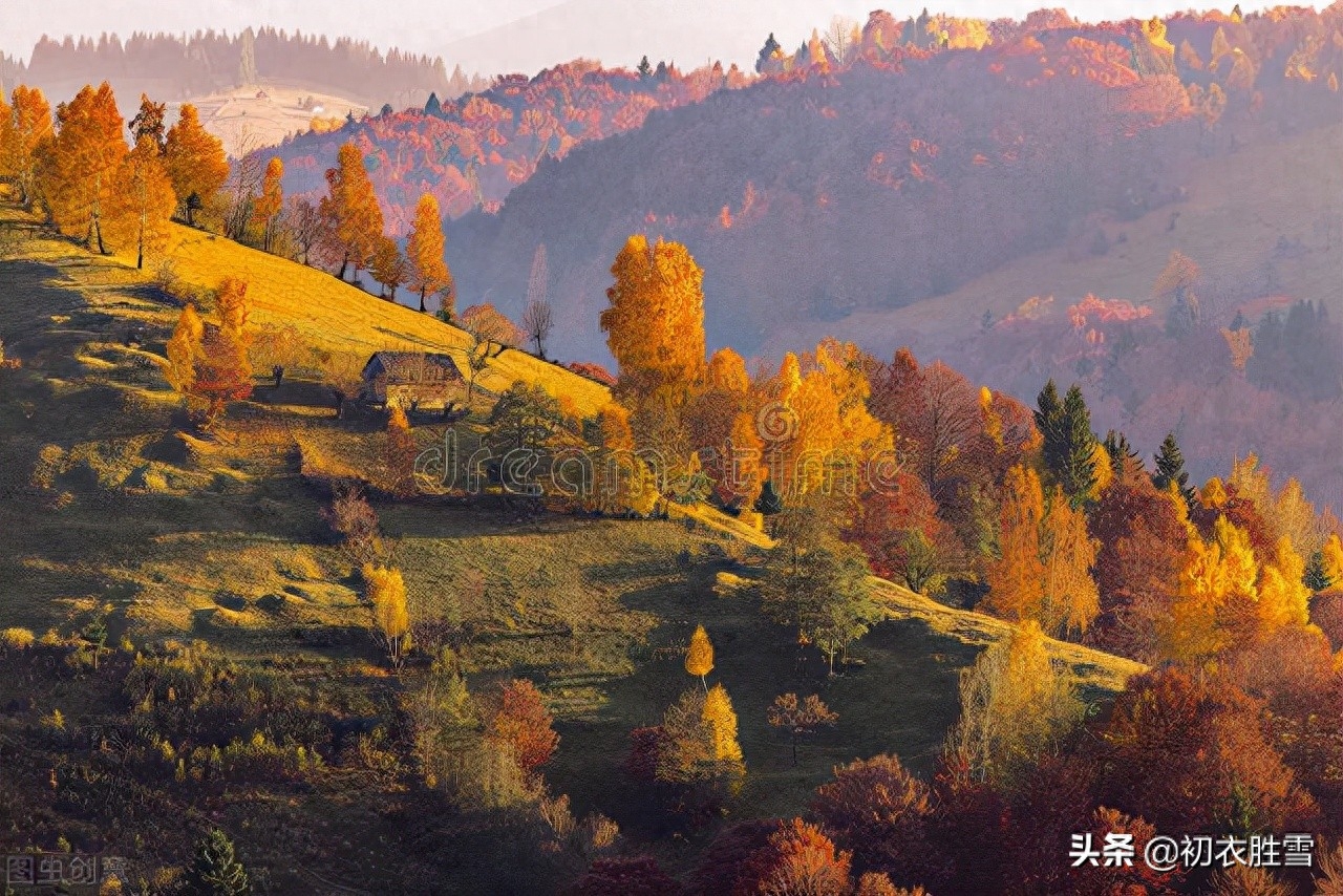 二十四节气霜降诗词四首（霜降天宇晶，极目万山横）