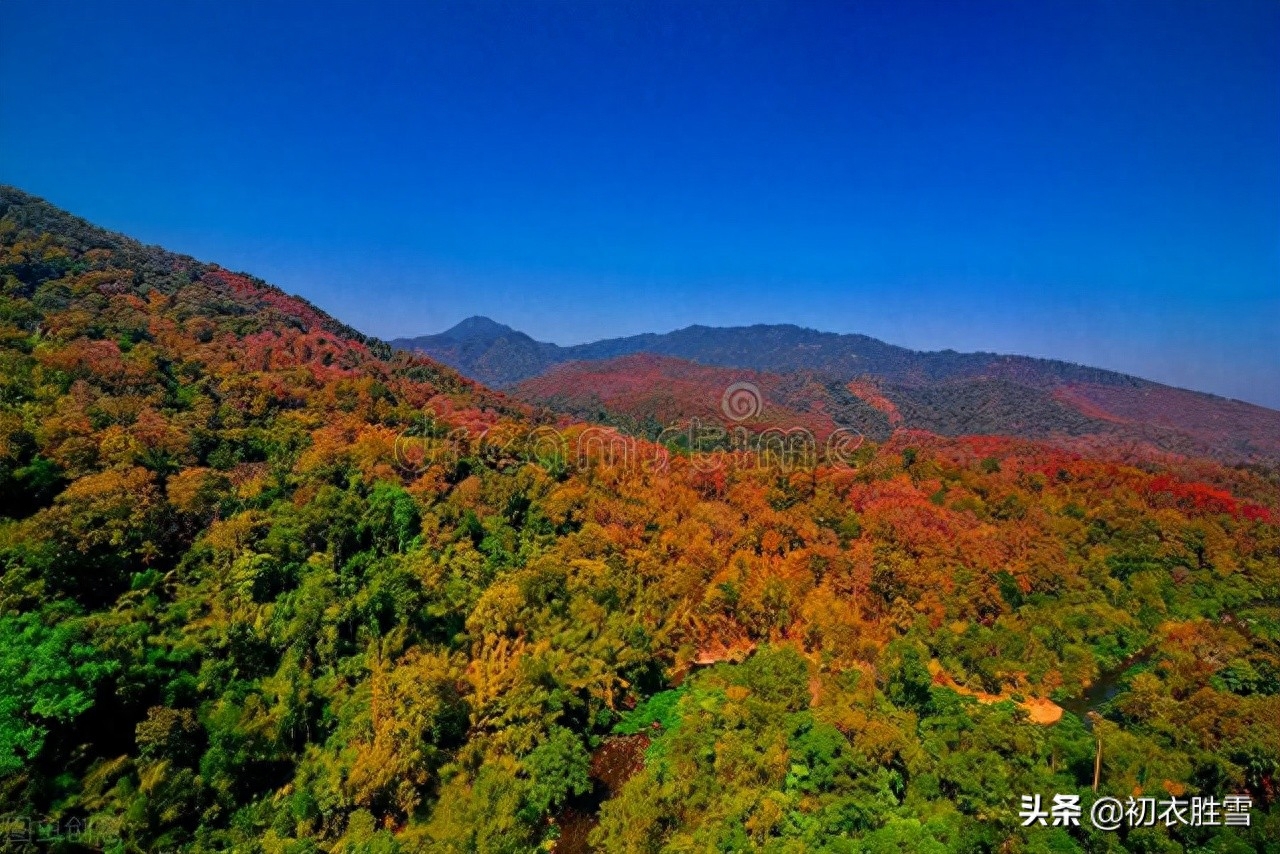 二十四节气霜降诗词四首（霜降天宇晶，极目万山横）