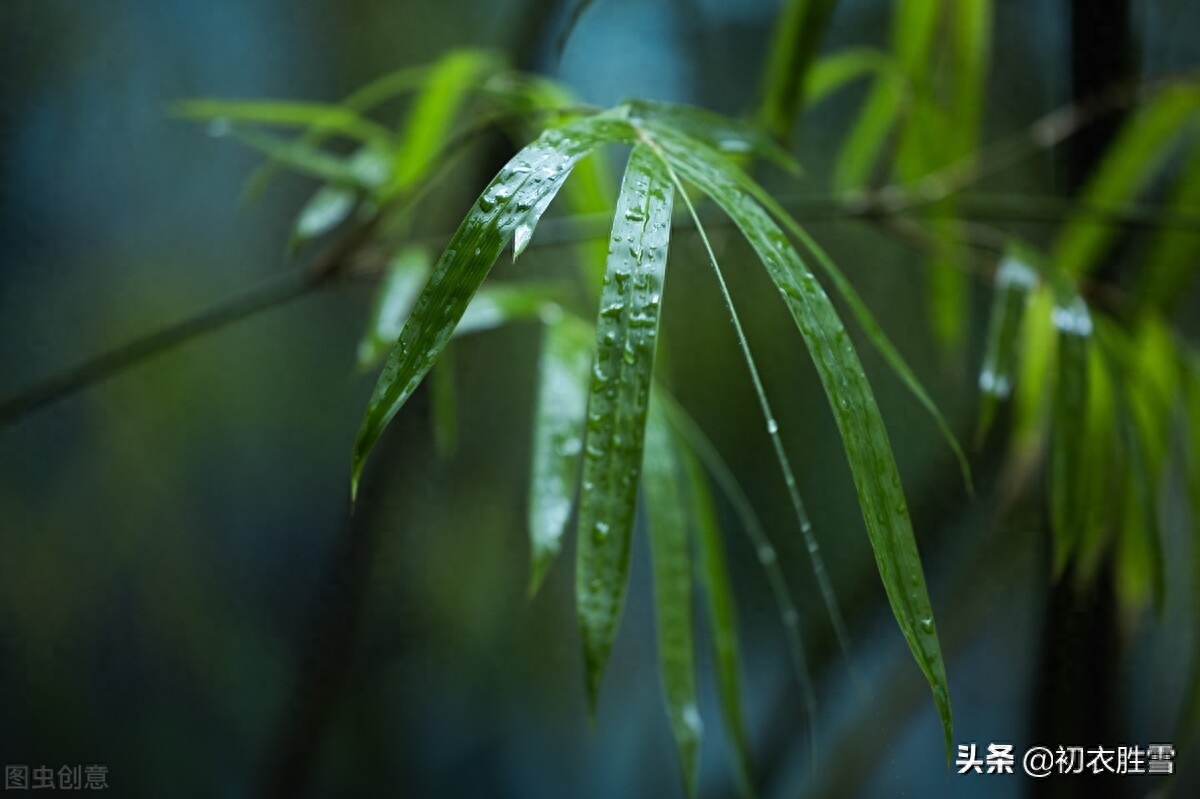 晚秋霏霏秋雨美诗七首（唤作蒙蒙二月初，小窗灯火对唐诗）