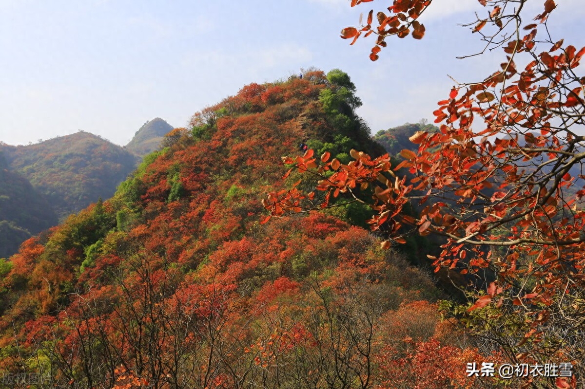 红叶诗词古句大全（王国维红叶秋词三首）