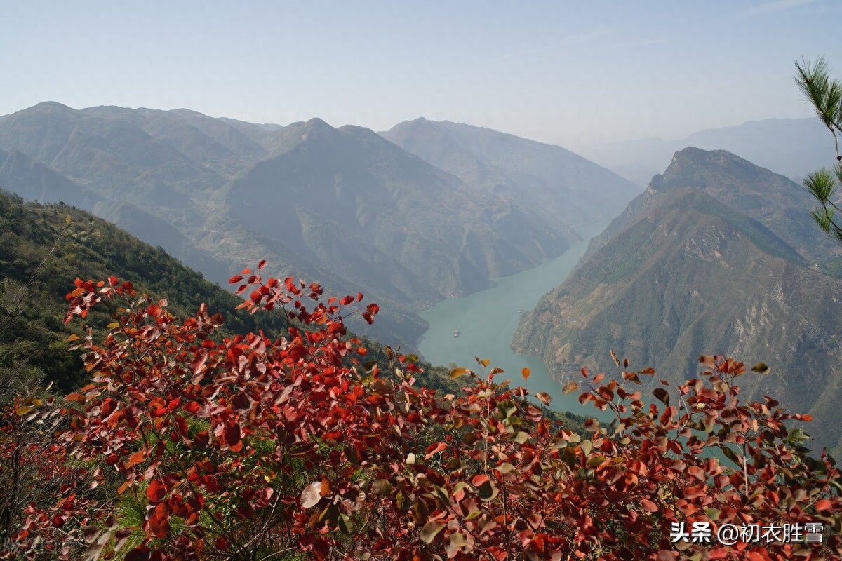 大气爱国重阳节诗词六首（俯仰人间今古，寥廓江天万里霜）