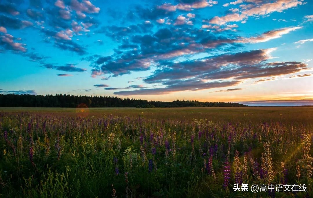 怎样让孩子爱上学习（让孩子爱上阅读的100种方法）