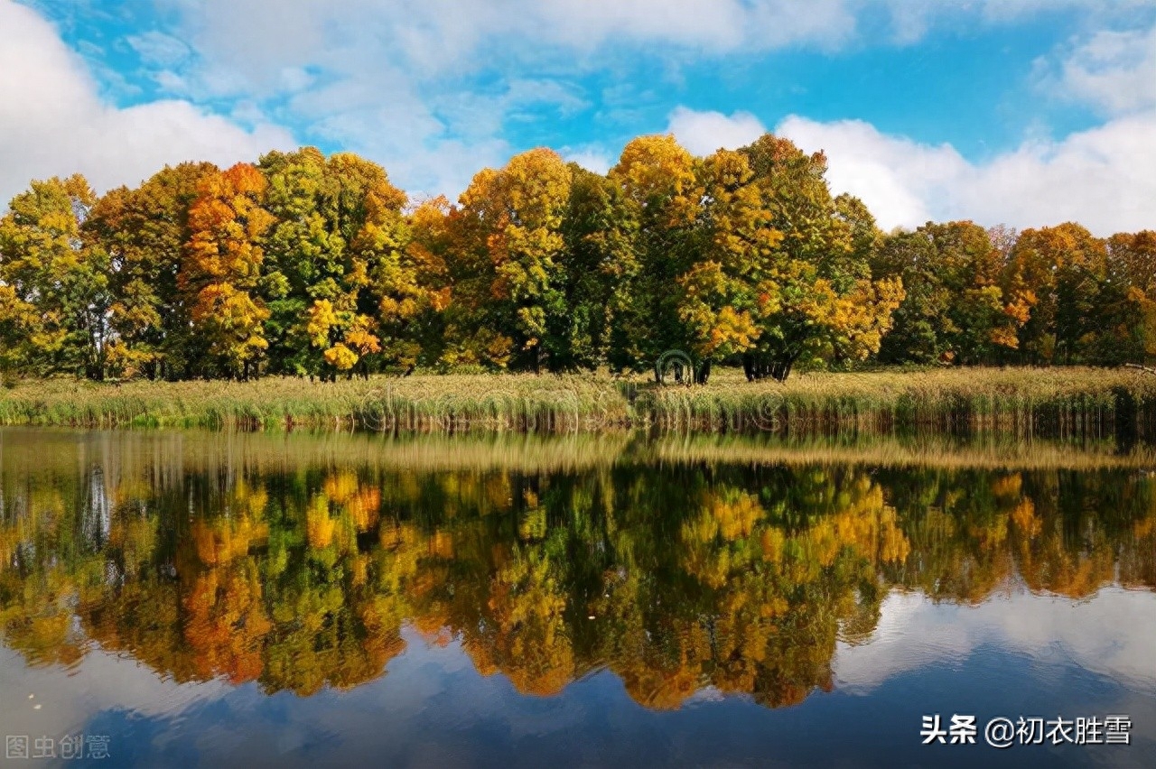 重阳节经典古诗（大气爱国重阳节诗词六首）