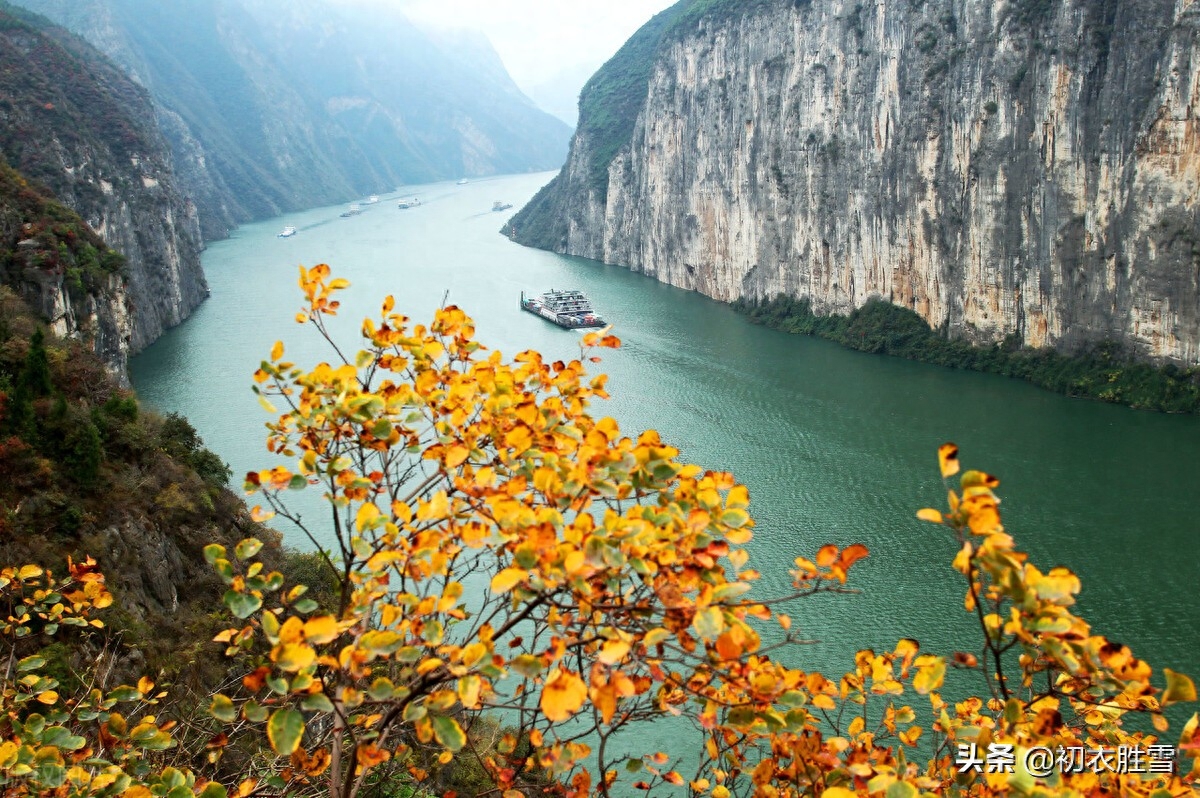 重阳节经典古诗（大气爱国重阳节诗词六首）