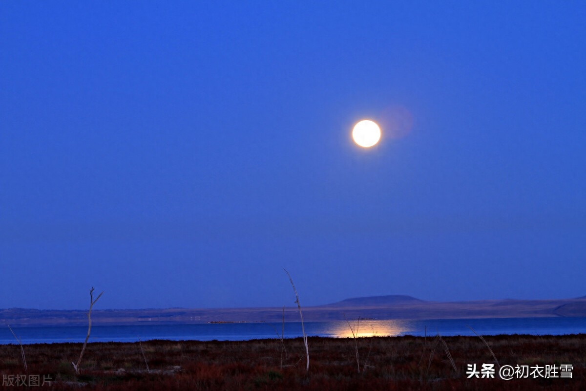 张九龄三首中秋明月古诗（海上生明月，流光万里同）