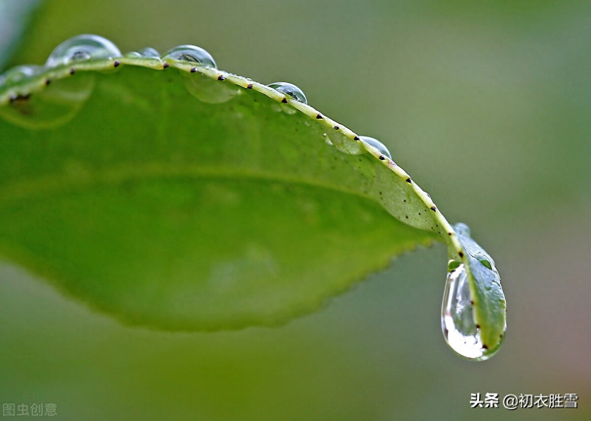 李白白露美诗五首（秋露白如玉，白露湿花时）