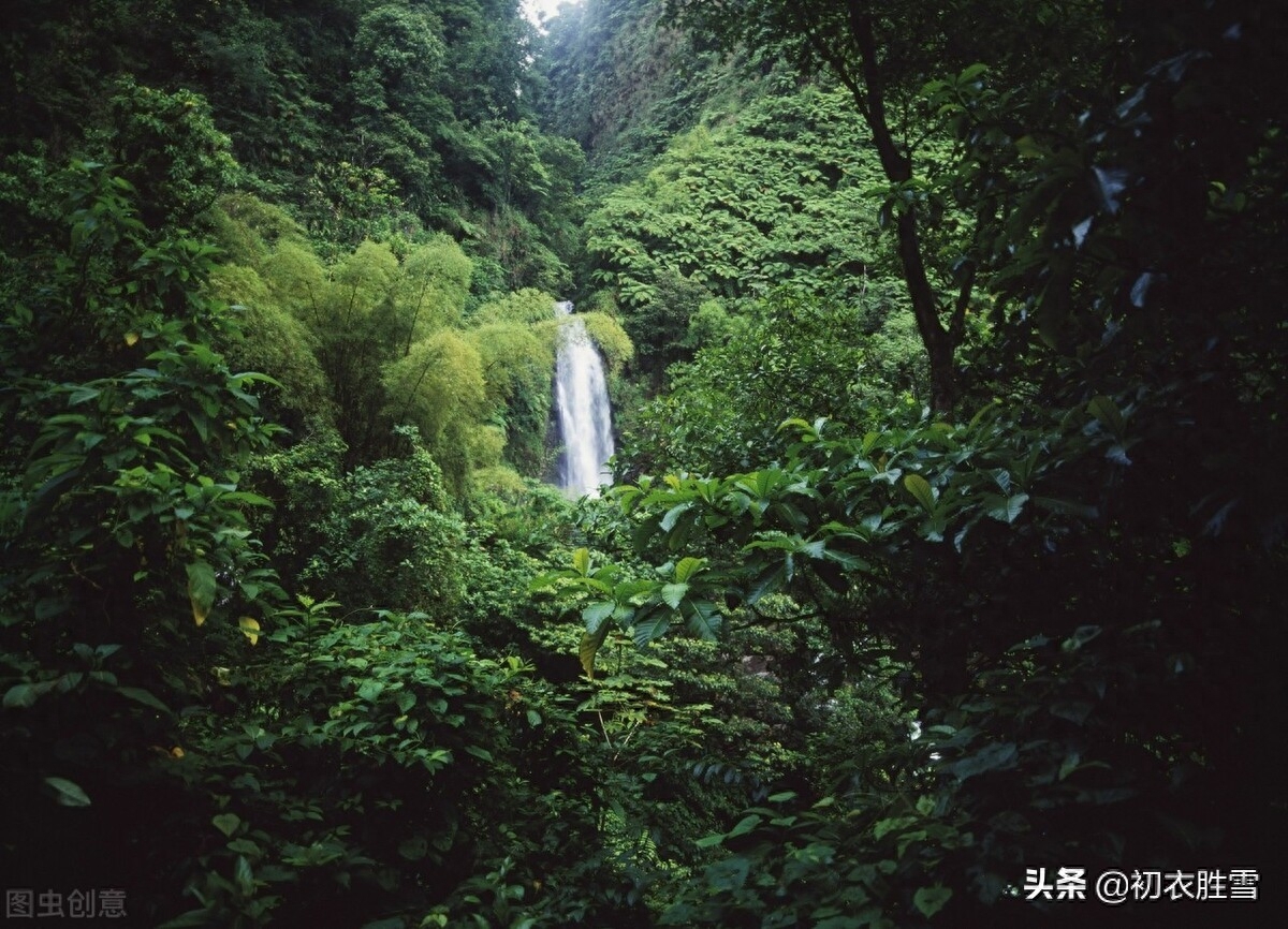 二十四节气之白露古诗六首（天高白露下，露从今夜白）