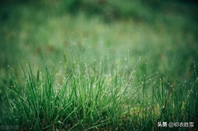 白露沾野草，时节忽复易（关于唯美白露古诗六首）