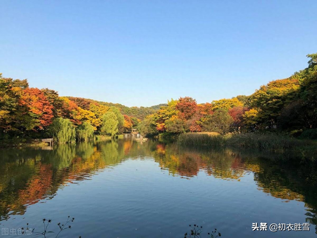 早秋秋雨美诗五首赏析（江湖经一雨，日月换新秋）