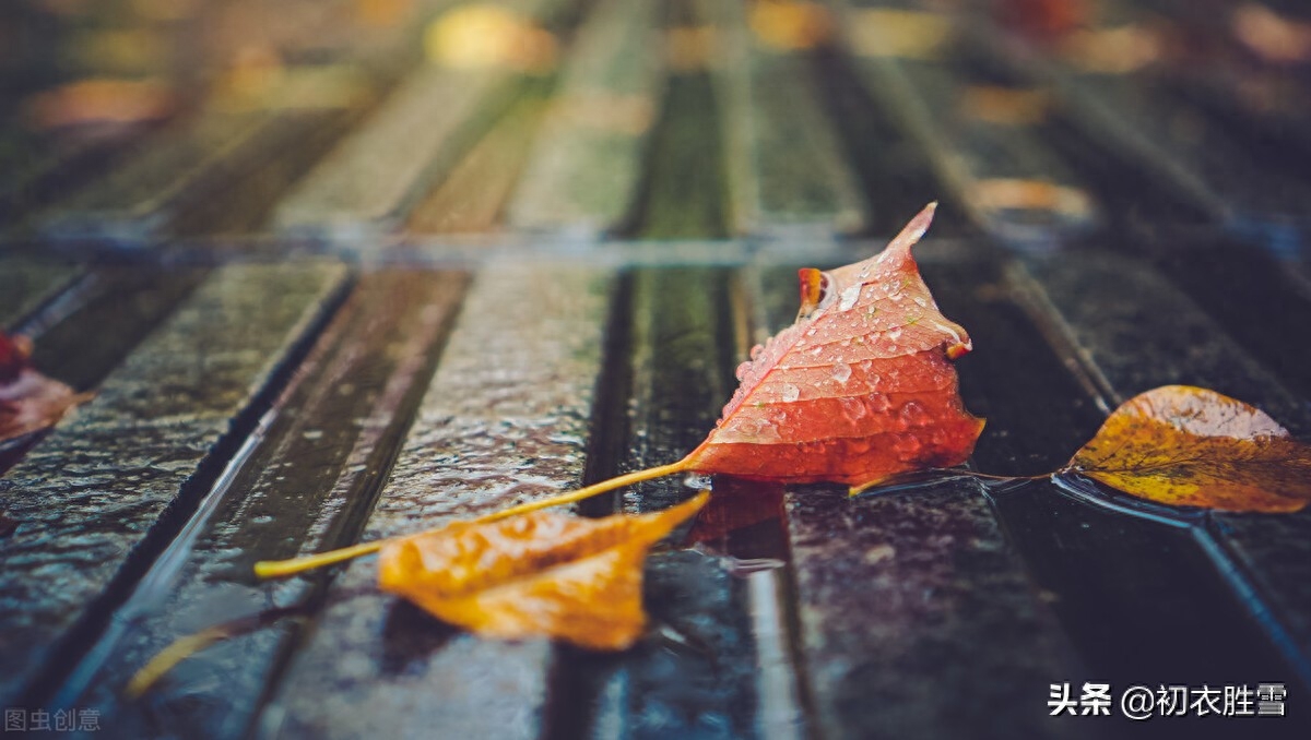 早秋秋雨美诗五首赏析（江湖经一雨，日月换新秋）