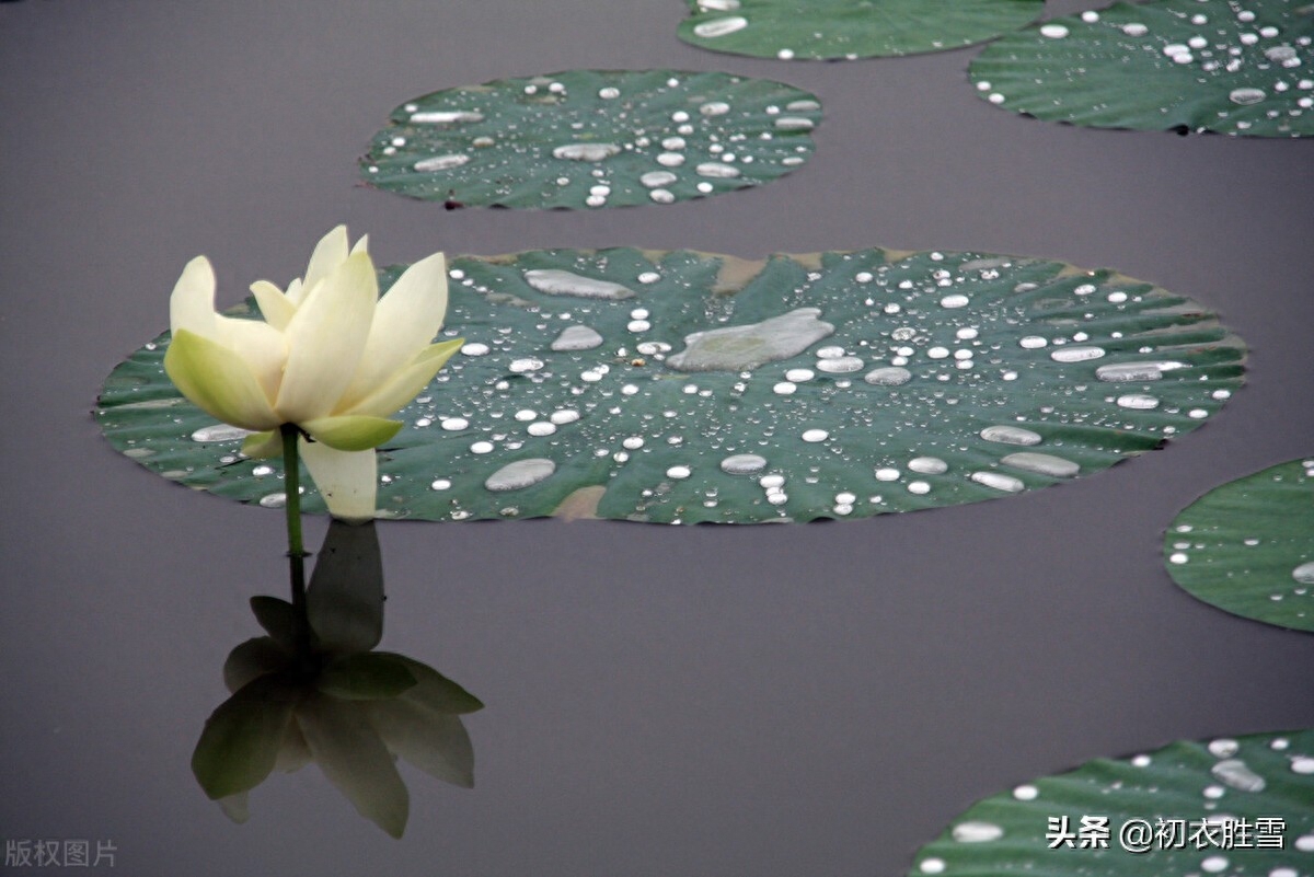 七夕唯美诗词大全（风雨七夕唯美诗词）