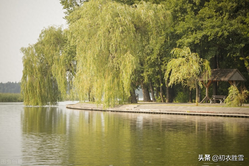 秋天唯美诗词意境（晚夏早秋诗词五首）