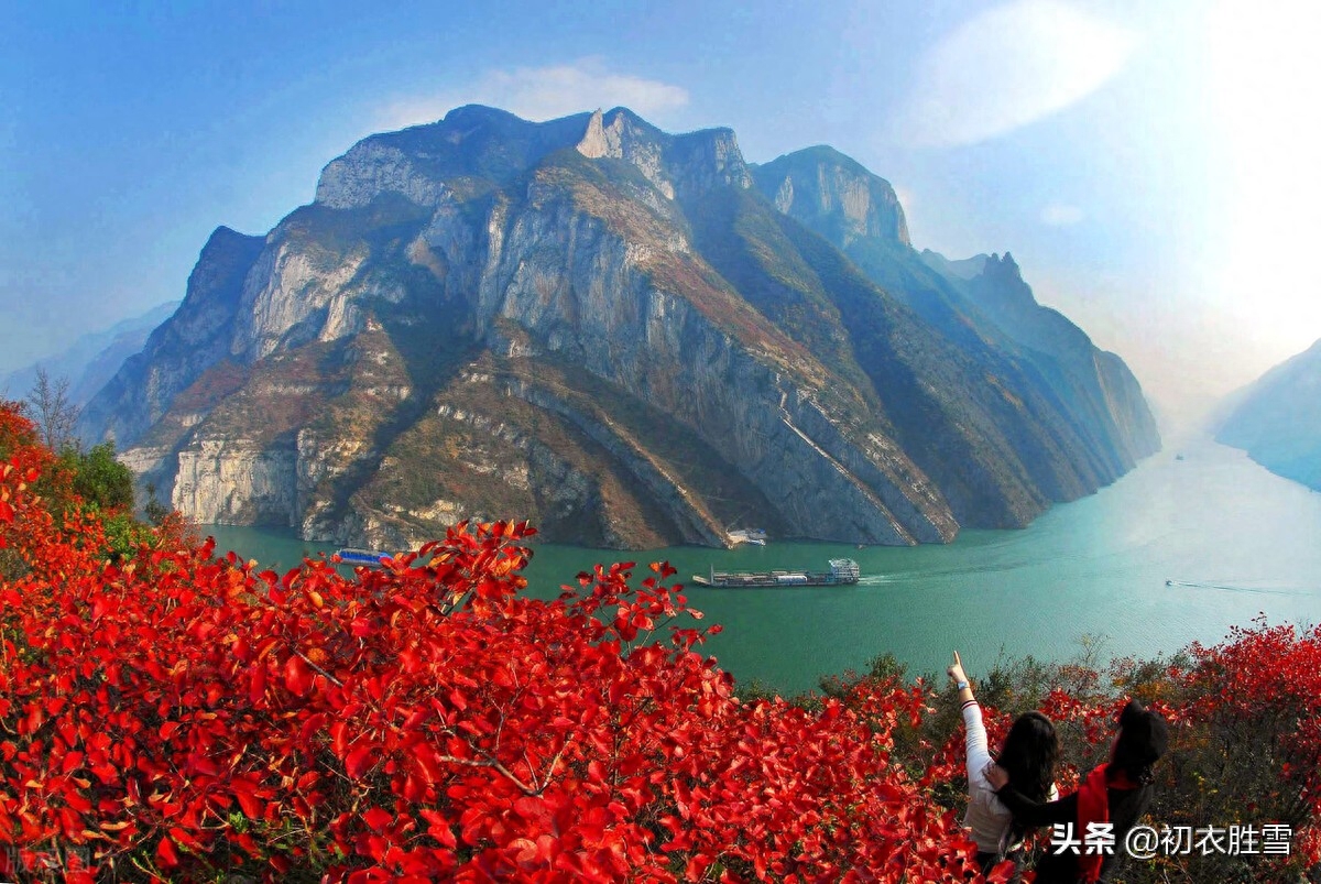 晚秋红叶黄花明丽诗词五首（红叶黄花三峡雨，高风亮节一天秋）