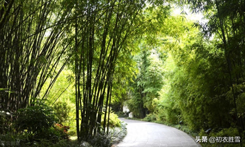 竹里清凉夏日竹诗七首（坐销三伏景，水拥竹千竿）