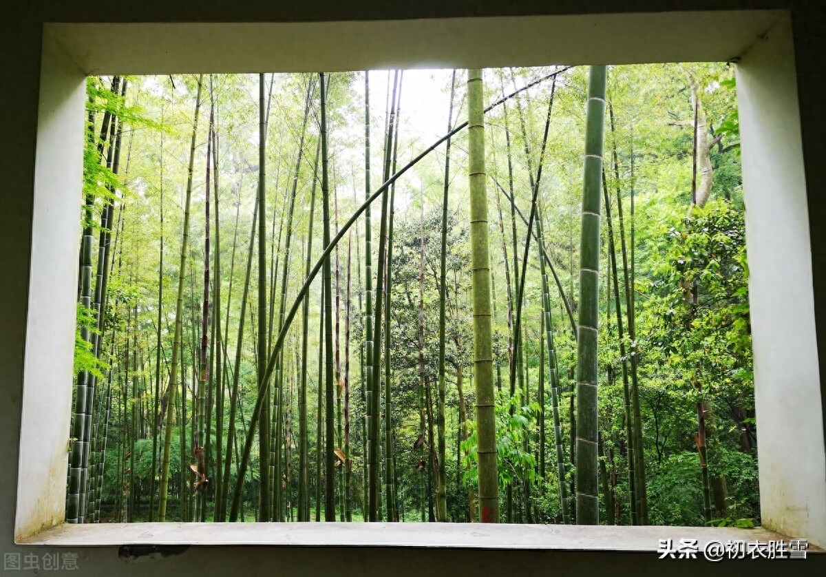 竹里清凉夏日竹诗七首（坐销三伏景，水拥竹千竿）