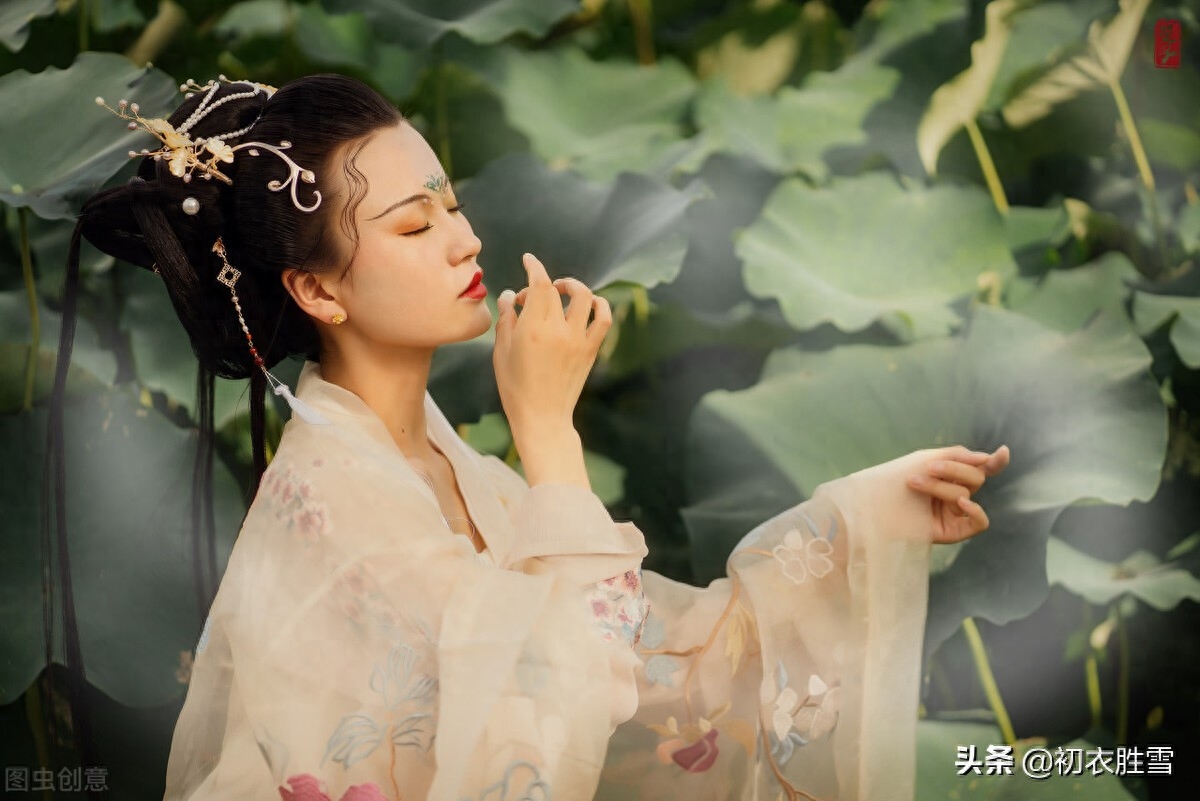 唯美采莲情诗12首赏析（一花与一叶，开花叶正圆）