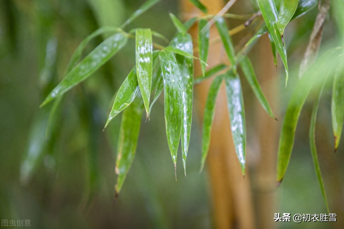 小暑经典古诗有哪些（二十四节气小暑古诗两首）