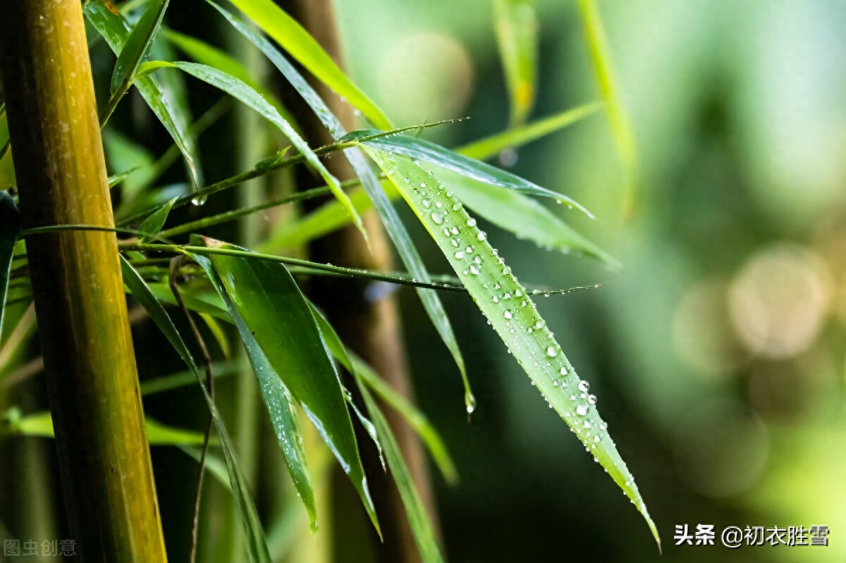 小暑经典古诗有哪些（二十四节气小暑古诗两首）