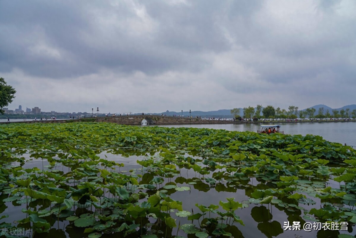 黄梅雨细多闲闷，梅雨洒芳田（梅雨时节唯美诗词五首）