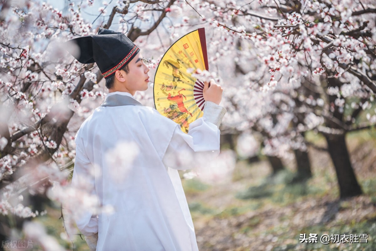 端午节经典古诗五言绝句（端午葛衣诗词九首）