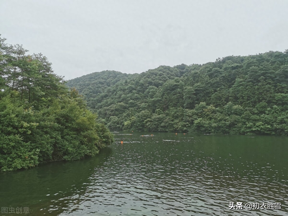 绿水青山古诗六首赏析（绿水丰涟漪，青山多锦绣）