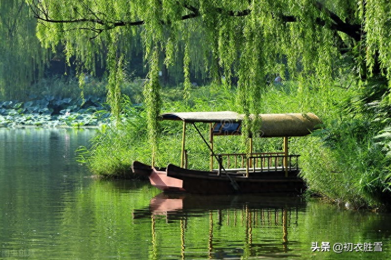 初夏绿阴诗词五首鉴赏（日晚无来客，闲船系绿阴）