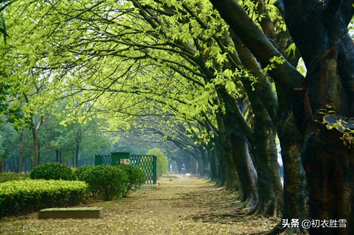 送春唯美诗词有哪些（明丽送春诗词8首）