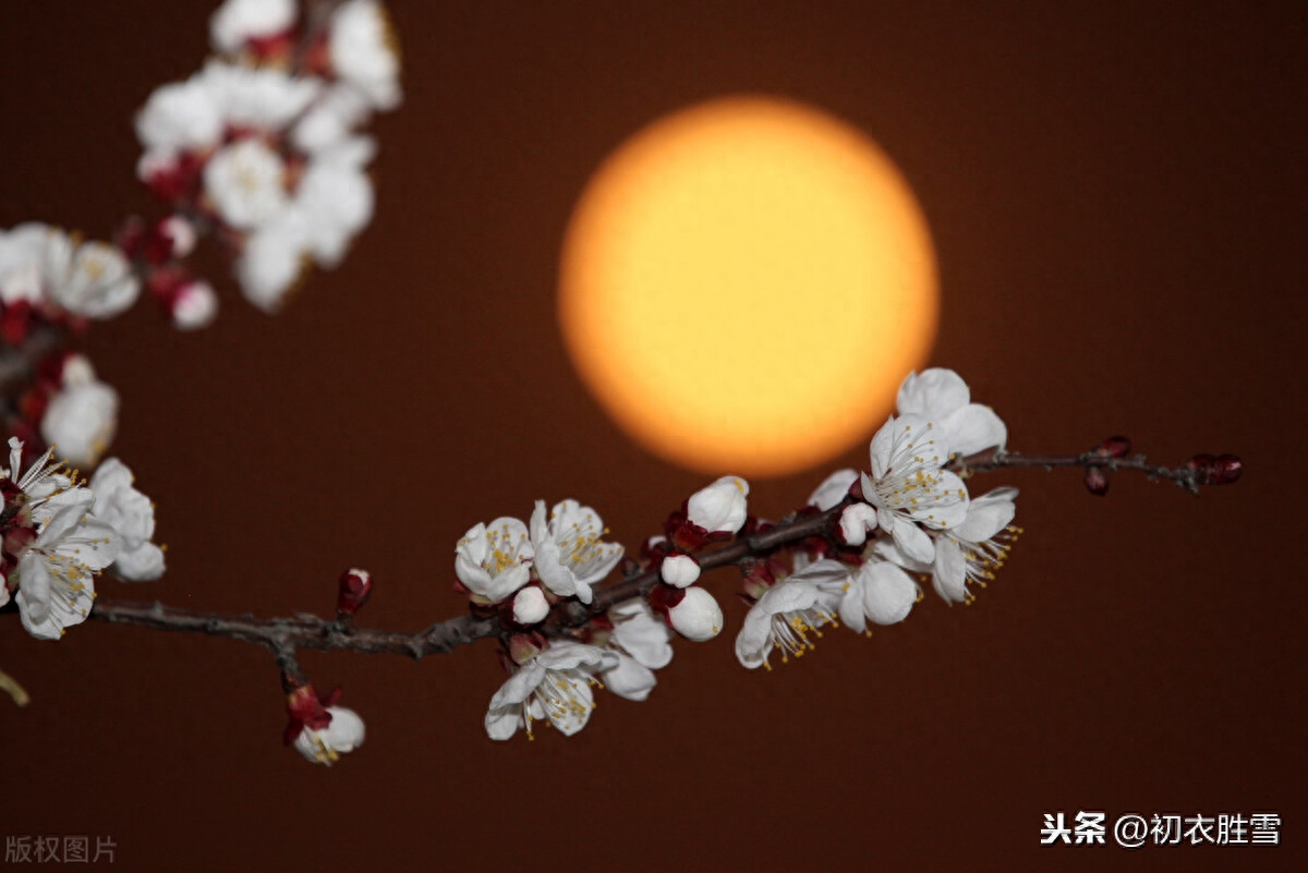 元宵节浓情美词7首（今夕是何年，新春新月圆）