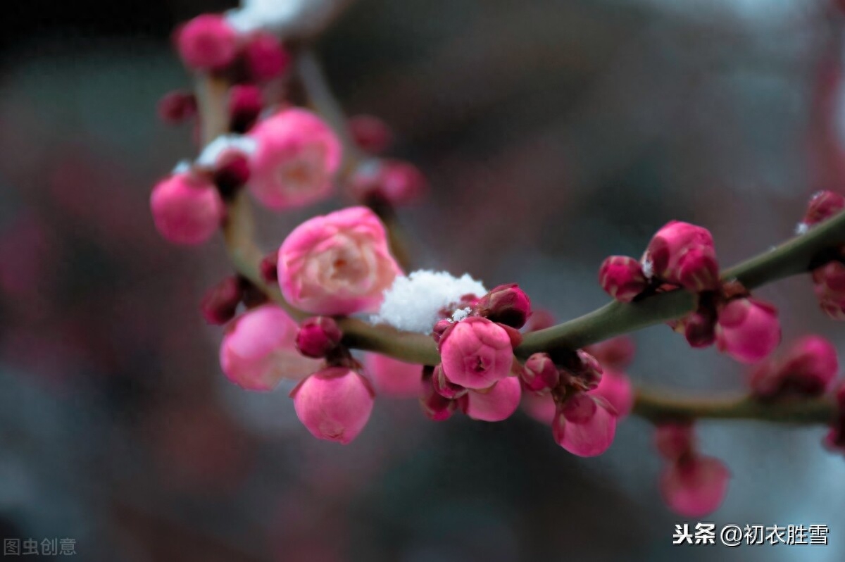 小寒优美诗句赏析（小寒节气晏殊词）