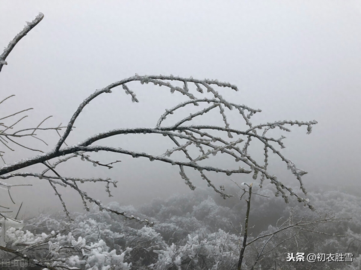 打动人心的风雪古诗词9首（风雪乱山深，风雪夜归人）