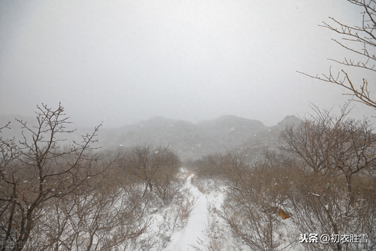 打动人心的风雪古诗词9首（风雪乱山深，风雪夜归人）