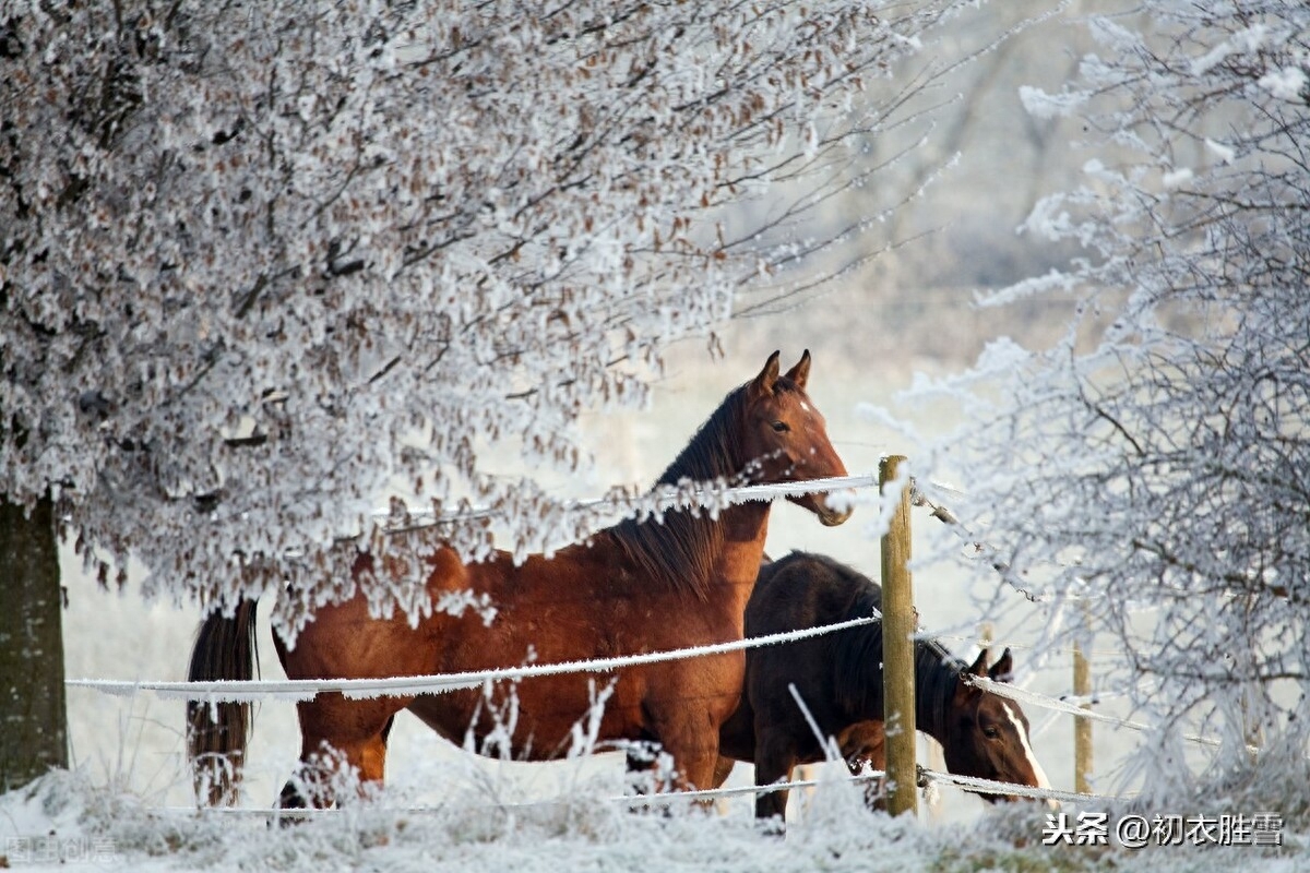 初雪唯美诗词大全（江南初雪六首古诗词）