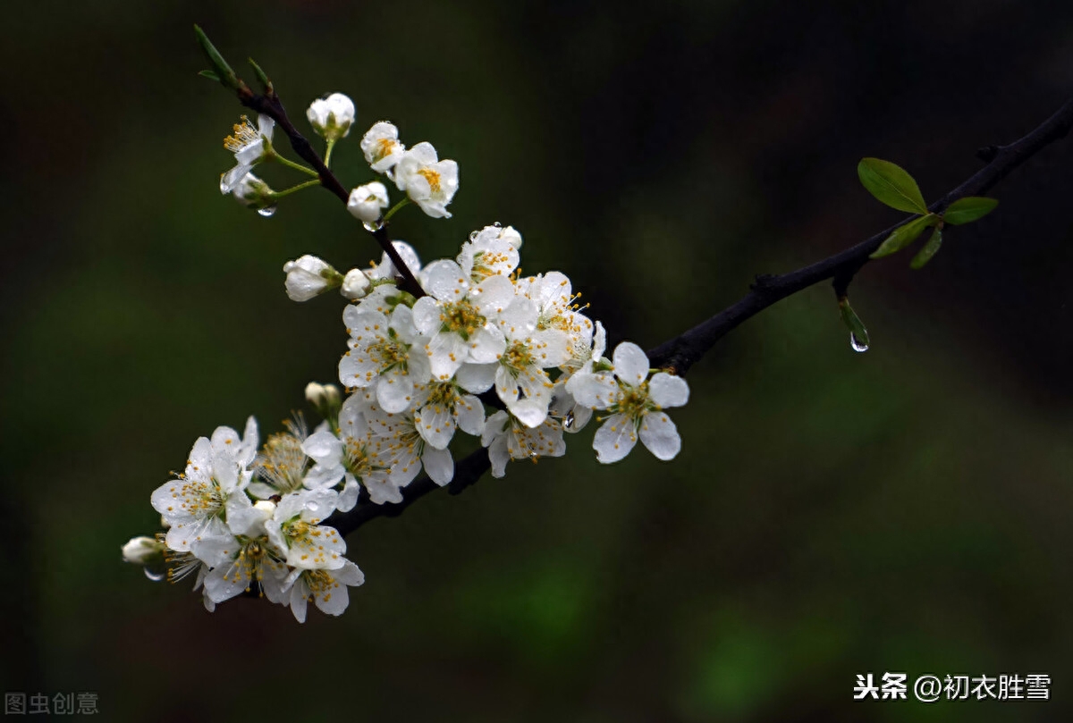 立冬唯美诗词大全（关于立冬唯美诗词）