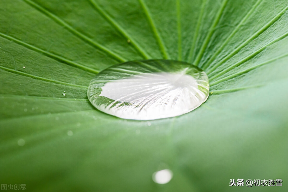 绝美白露诗句10则赏析（白露水晶团，垂珠滴秋月）