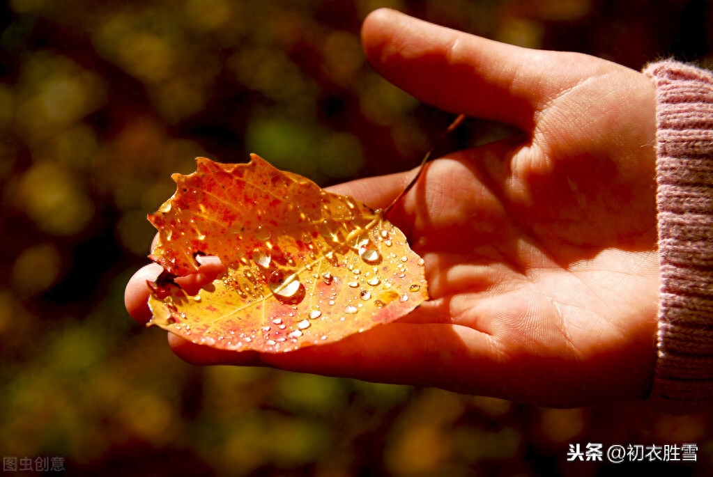 二十四节气之白露诗词名句（露沾蔬草白，天气转青高）