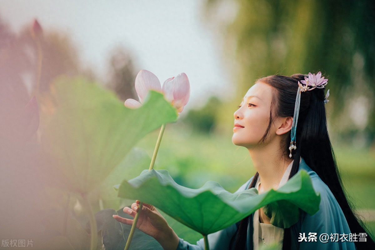 荷花唯美诗词大全（九首灵动荷花诗）