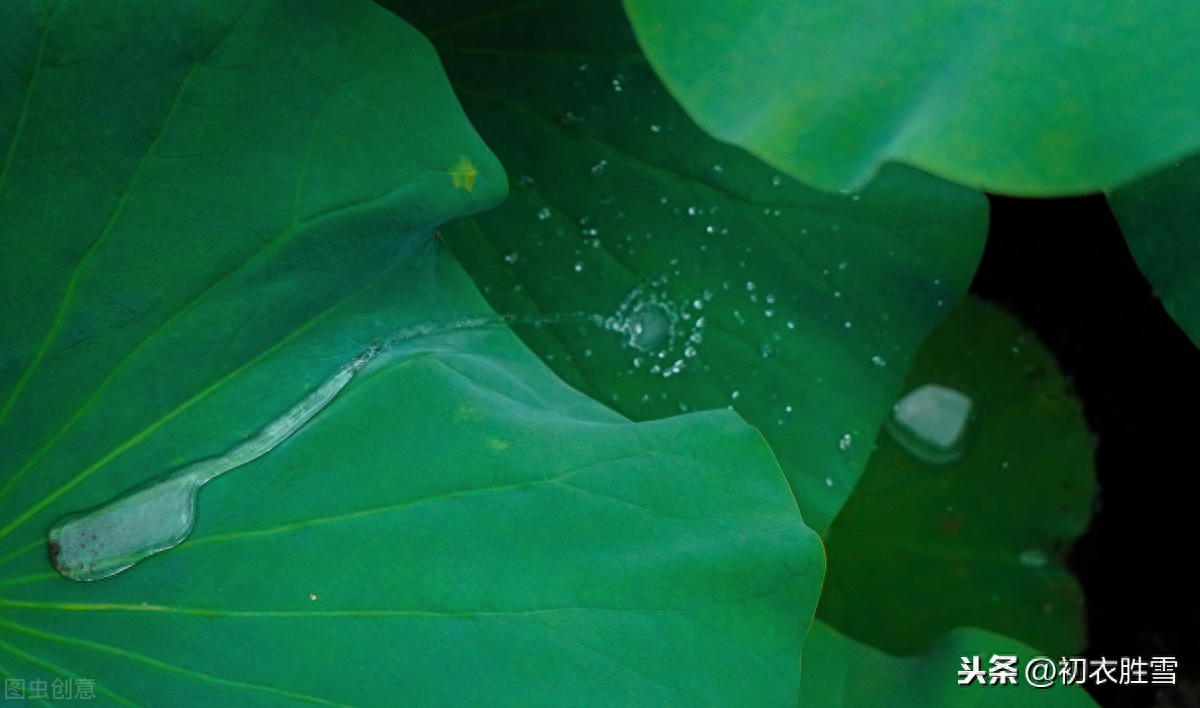 夏雨优美古诗词十首（雨过河源隔座看，青玉盘中泻水银）