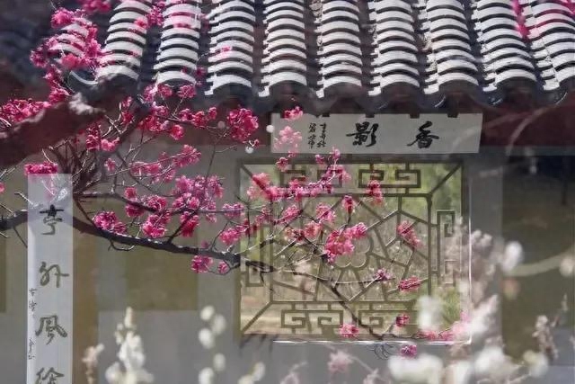 咏梅花诗词16首（玉面映红腮，冰天送馥来）