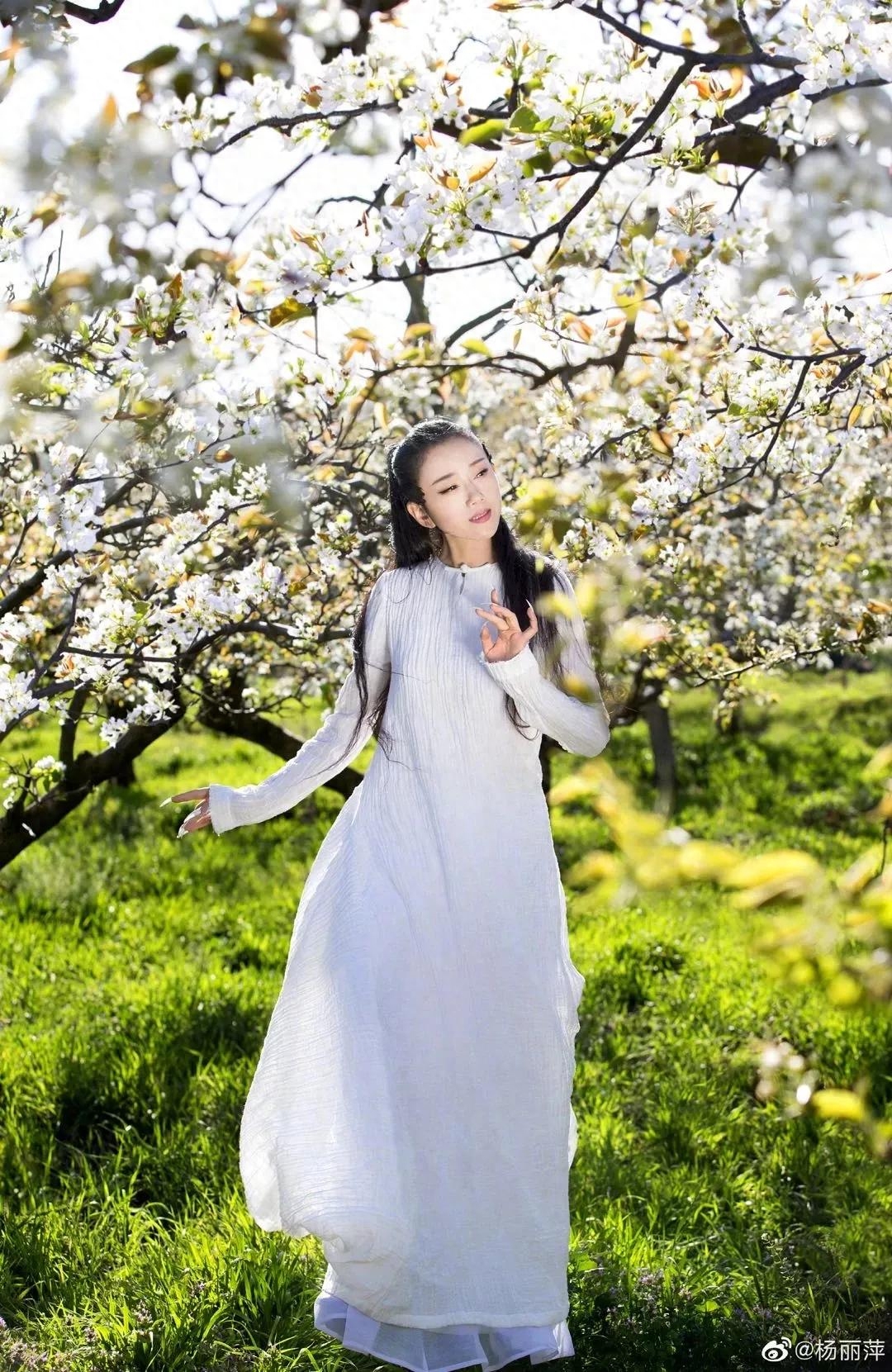 春暖花开，百花竞放（咏花经典诗词19首）