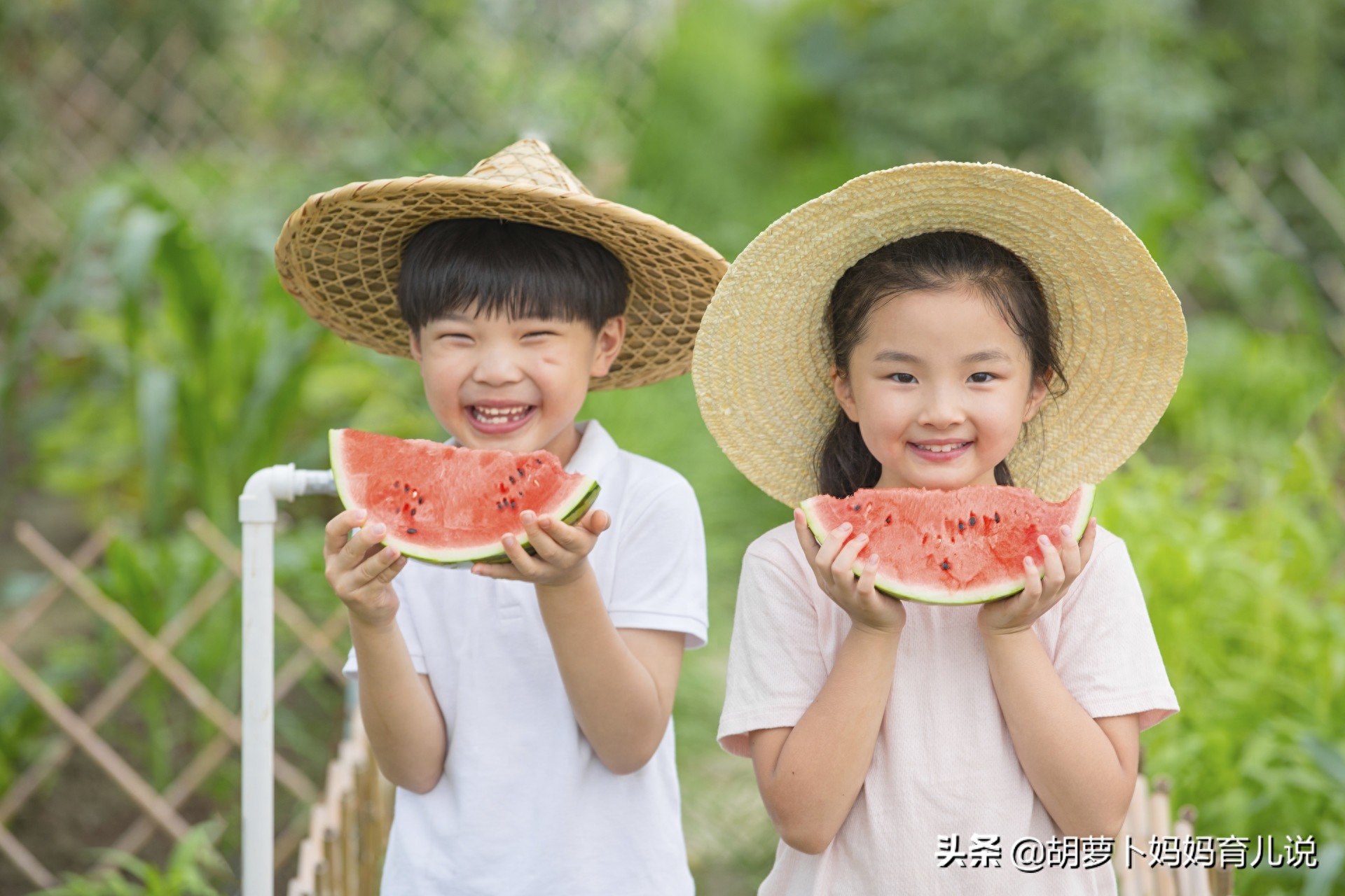 夏季育儿小常识大全（夏天带宝宝要避开这4点）