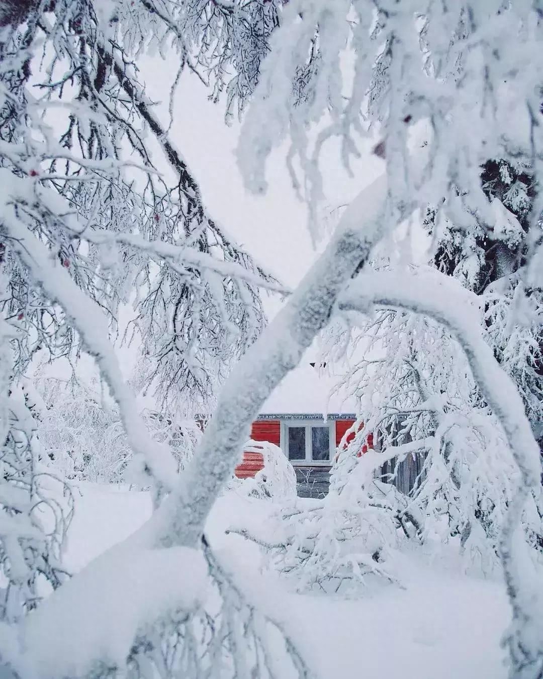 咏雪诗词名句大全（咏雪诗词集锦）