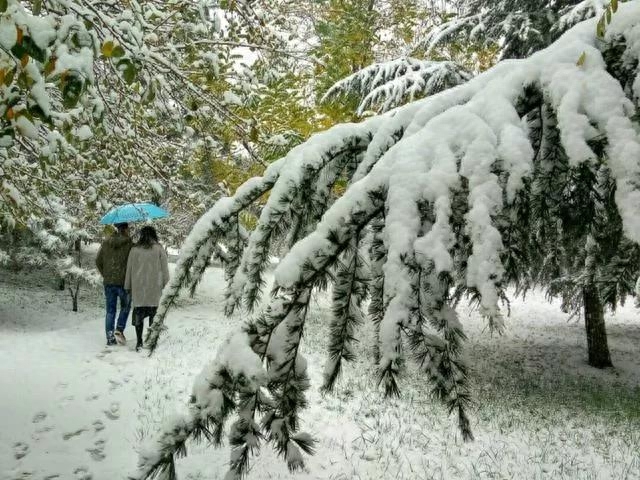 咏雪诗词名句大全（咏雪诗词集锦）