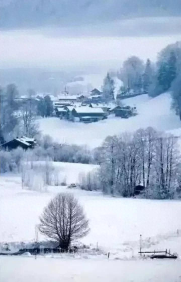 咏雪诗词名句大全（咏雪诗词集锦）