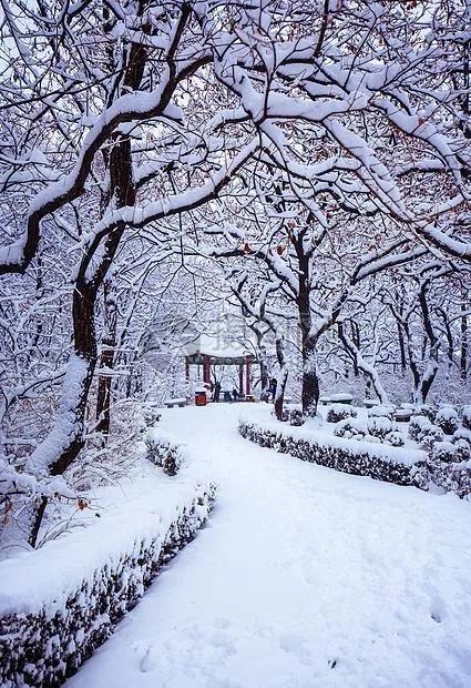 大雪诗词名句大全（大雪节气咏怀诗词24首）